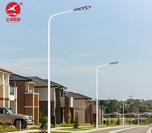 LED市电路灯ZX-LD057