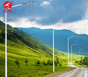 LED市电路灯ZX-LD057