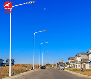 LED市电路灯ZX-LD057