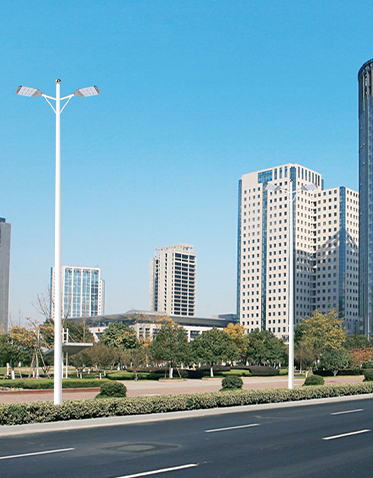 LED市电路灯ZX-LD060 LED市电路灯ZX-LD060