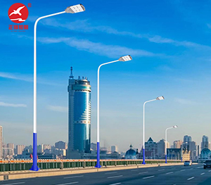 LED市电路灯ZX-LD061