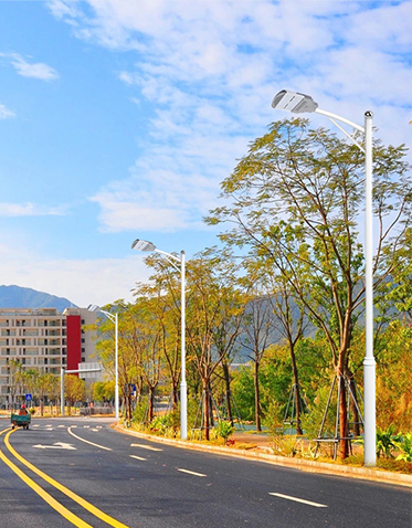 LED市电路灯ZX-LD062 LED市电路灯ZX-LD062