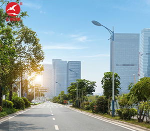 LED市电路灯ZX-LD065