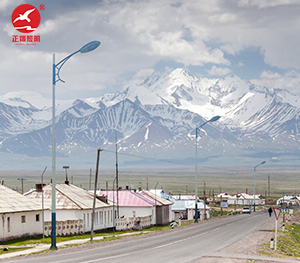 LED市电路灯ZX-LD065