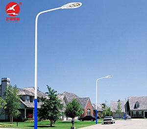 LED市电路灯ZX-LD066