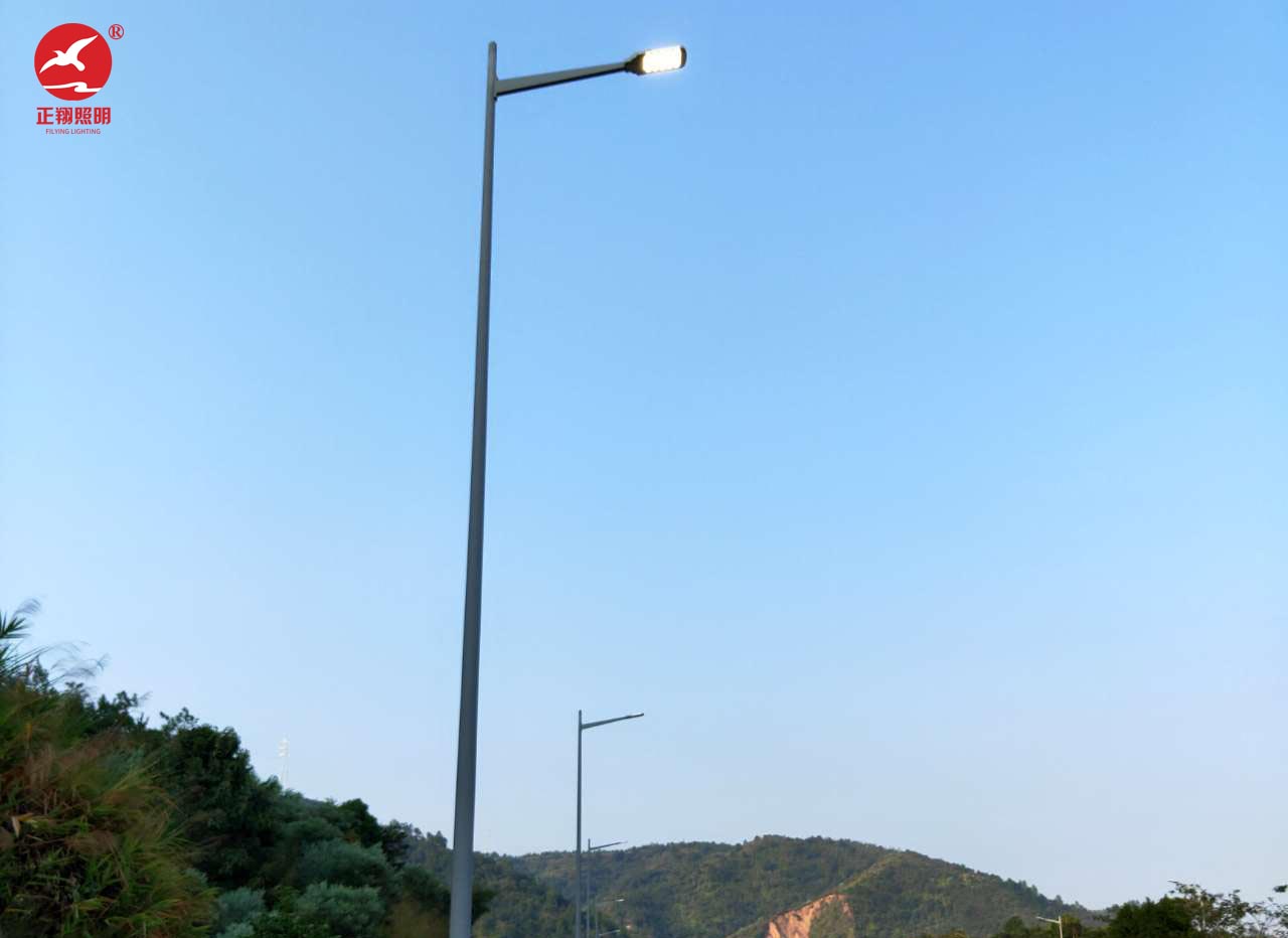 河源紫金县355国道市电路灯工程案例 河源紫金县355国道市电路灯工程案例