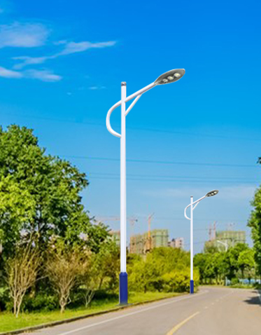 LED市电路灯ZX-LD070 LED市电路灯ZX-LD070