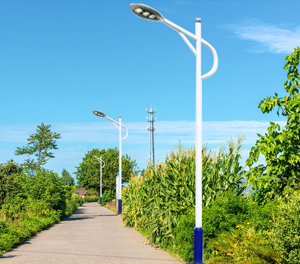 LED市电路灯ZX-LD070