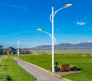 LED市电路灯ZX-LD072