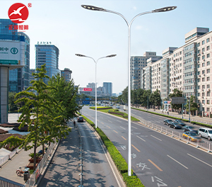 LED市电路灯ZX-LD074