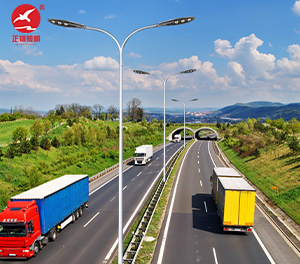 LED市电路灯ZX-LD074