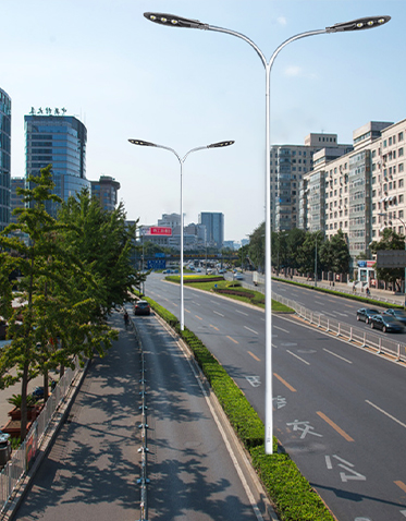 LED市电路灯ZX-LD074