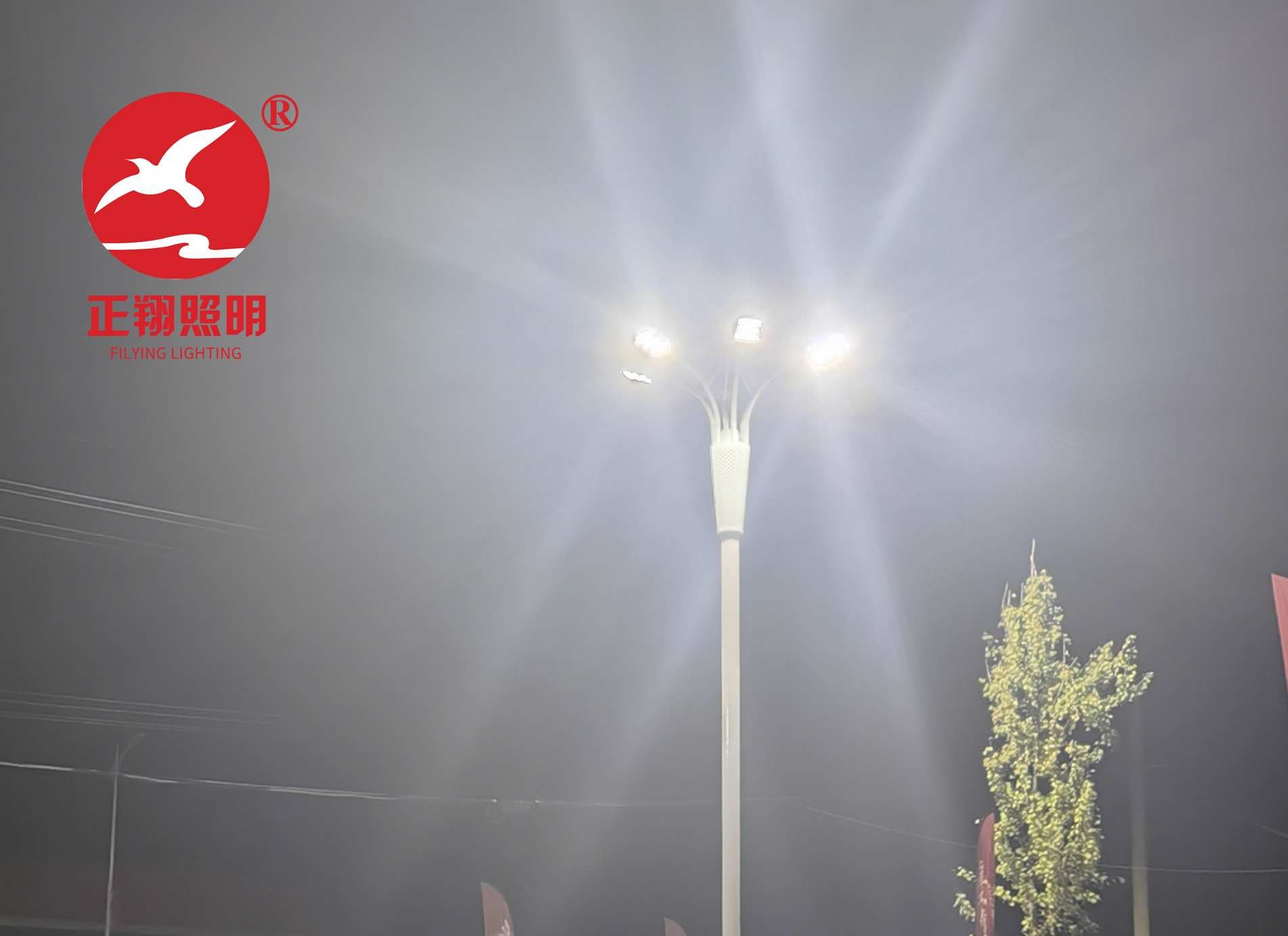 湖南中杆景观灯工程案例 湖南中杆景观灯工程案例