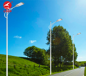 LED市电路灯ZX-LD077