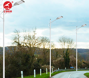 LED市电路灯ZX-LD077