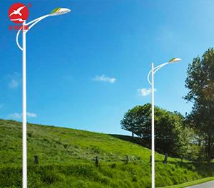 LED市电路灯ZX-LD078