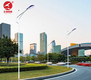 LED市电路灯ZX-LD079