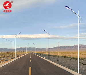 LED市电路灯ZX-LD079