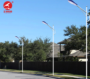 LED市电路灯ZX-LD079