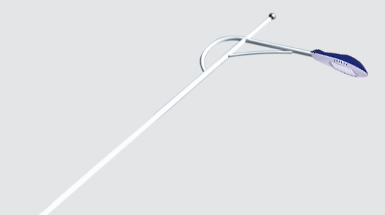 LED市电路灯ZX-LD079