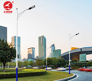 LED市电路灯ZX-LD080