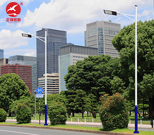 LED市电路灯ZX-LD081