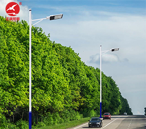 LED市电路灯ZX-LD081