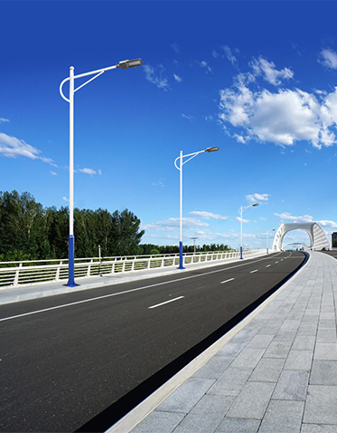 LED市电路灯ZX-LD082