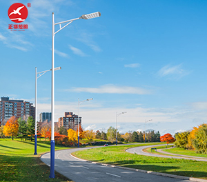 LED市电路灯ZX-LD083