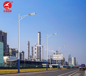 LED市电路灯ZX-LD083