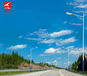 LED市电路灯ZX-LD083