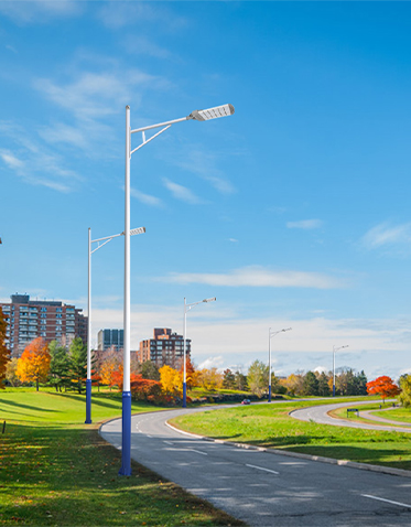 LED市电路灯ZX-LD083