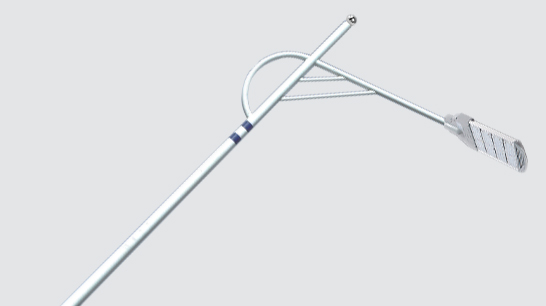 LED市电路灯ZX-LD084