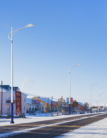 LED市电路灯ZX-LD084 LED市电路灯ZX-LD084