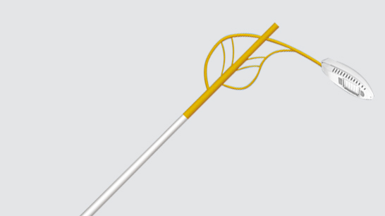 LED市电路灯ZX-LD085