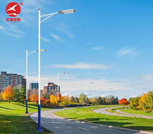 LED市电路灯ZX-LD086