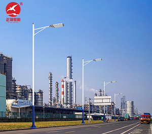 LED市电路灯ZX-LD086