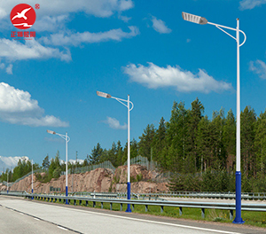 LED市电路灯ZX-LD088