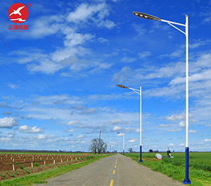 LED市电路灯ZX-LD093