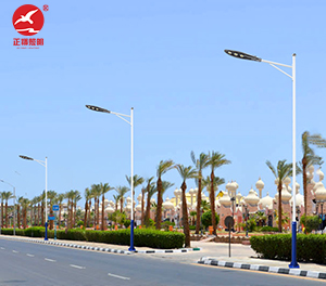 LED市电路灯ZX-LD093