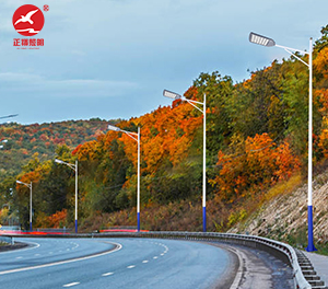 LED市电路灯ZX-LD095