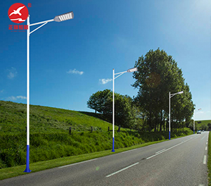 LED市电路灯ZX-LD095