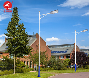 LED市电路灯ZX-LD095