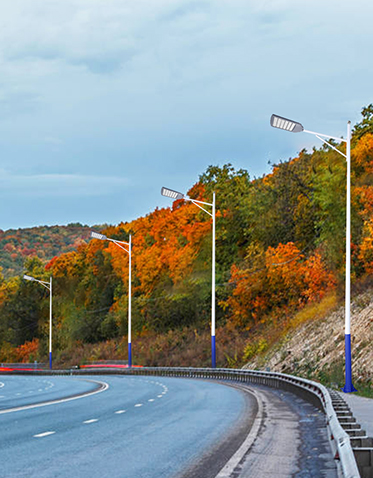 LED市电路灯ZX-LD095