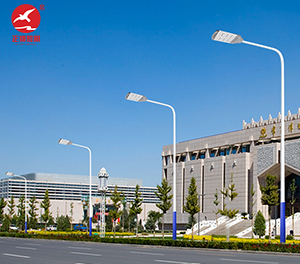 LED市电路灯ZX-LD097