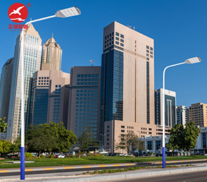 LED市电路灯ZX-LD097