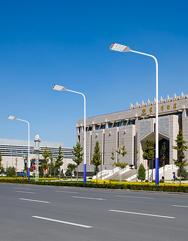 LED市电路灯ZX-LD097