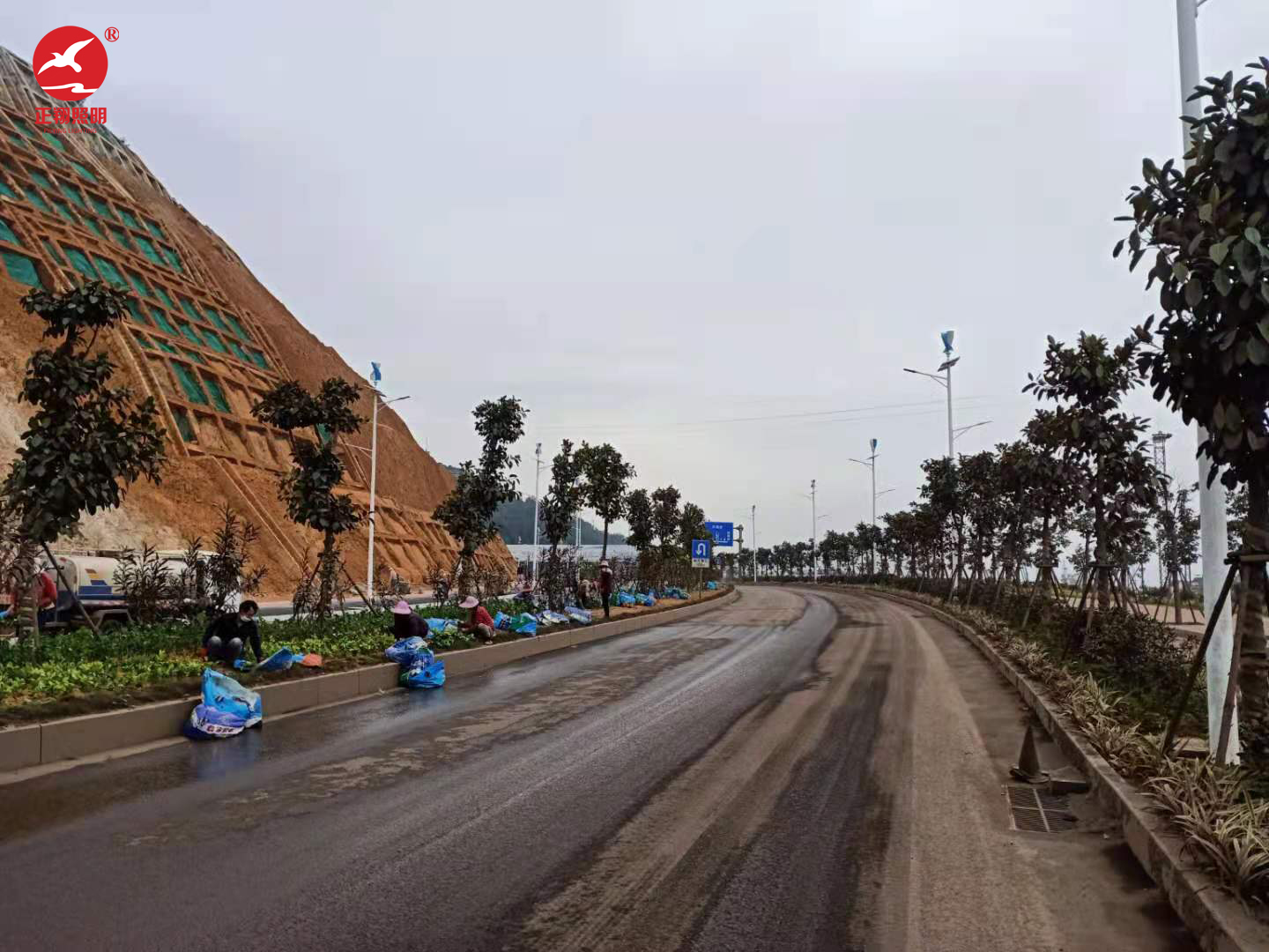 福建省福州市连江县风格互补路灯工程案例 福建省福州市连江县风格互补路灯工程案例