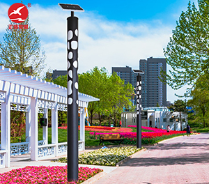 LED景观灯ZX-JGD152 LED景观灯ZX-JGD152