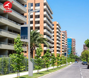 智慧路灯ZX-ZHLD028